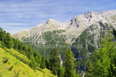 Ortler Massiv - Ortler Alps 15