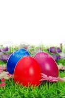 Ostereier auf Blumenwiese - easter eggs on flower meadow 24