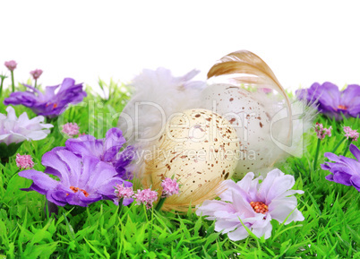 Ostereier auf Blumenwiese - easter eggs on flower meadow 44