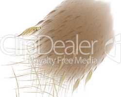 Abstract brown feathers
