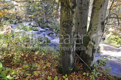 Kalte Bode im Herbst