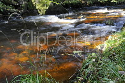 Kalte Bode im Herbst