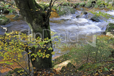 Kalte Bode im Herbst