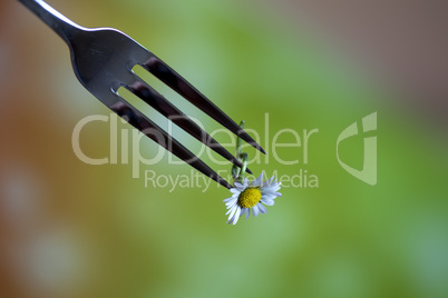 Steel Fork and flower