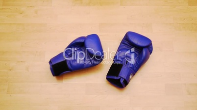 boxing gloves - one pair - red