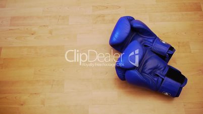 Boxing gloves - two pairs - accept fight