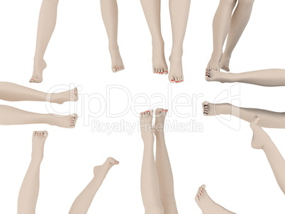 Female legs