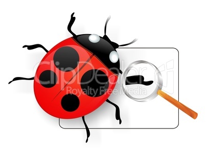 ladybird under magnifying glass