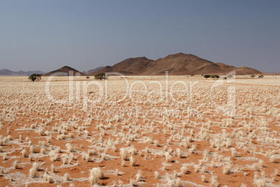 Wüste in Namibia