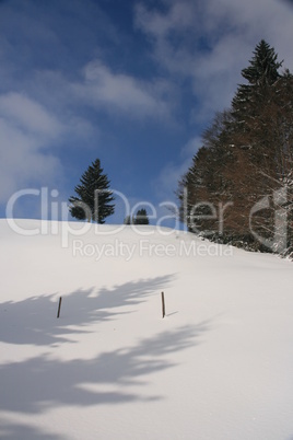 Schatten in Winterlandschaft