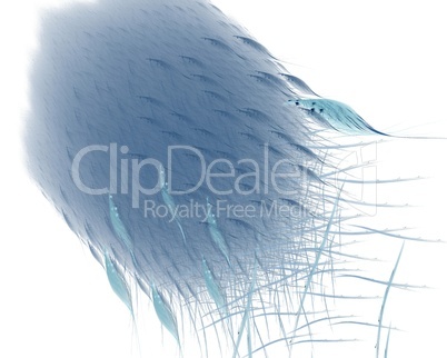 Blue abstract feathers