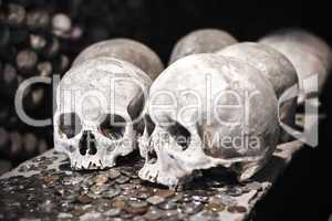Old skulls with coins