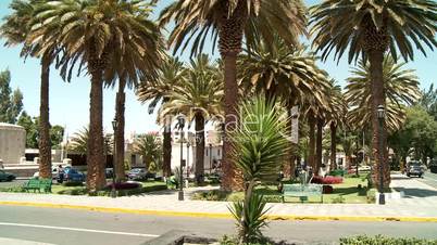 Park, Palmen, Arequipa, Peru