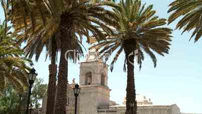 Kirche und Palmen (Arequipa, Peru)