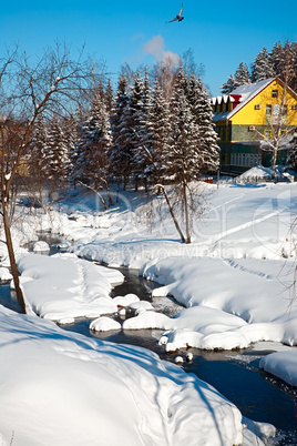 Winter landscape