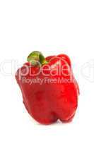 Red pepper