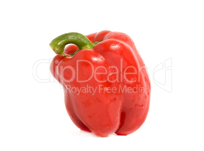 Red pepper