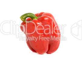 Red pepper