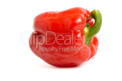 Red pepper