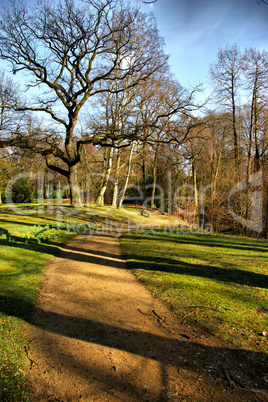 der kleine Weg im Fruehling HDR