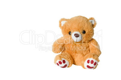 toy brown bear