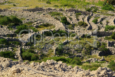 Trockenmauern Stara Baska - dry stone wall Stara Baska 01