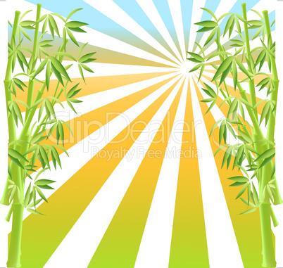 vector illustration of bamboo