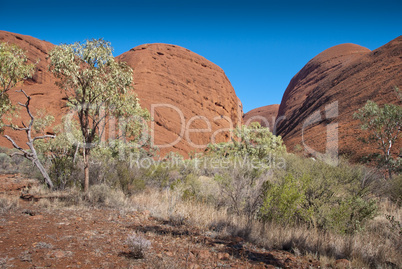 Australian Outback