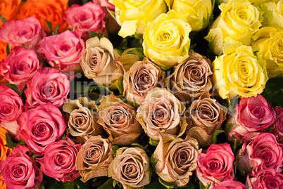 Artificial Colored Flowers