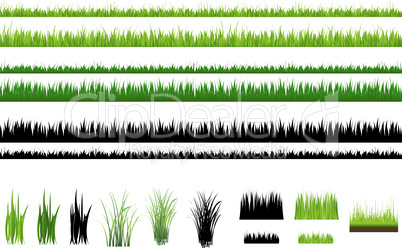 Grass collection, Isolated On White