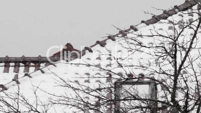 Fragment of an apartment house and snowfall.