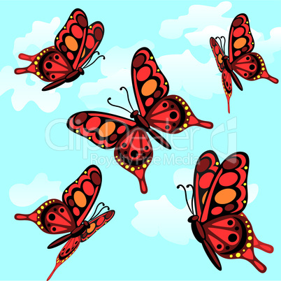 butterflies