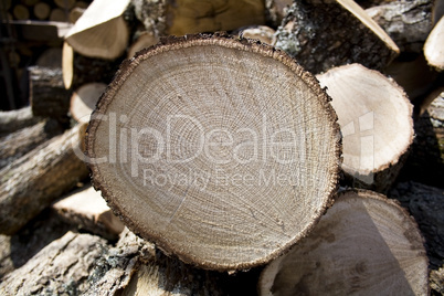 Sliced oak fire wood
