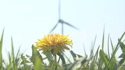 wind turbine producing energy