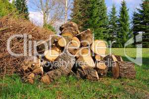 Holzstapel - stack of wood 29