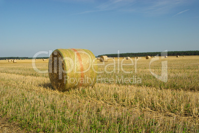 Strohballen - bale of straw 25