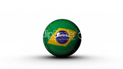world cup BRAZIL