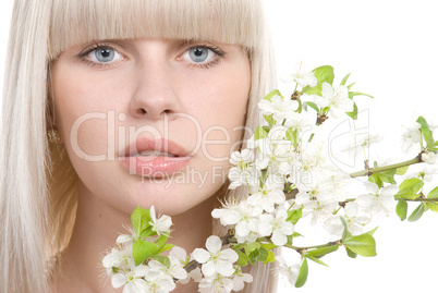 Spring blossom