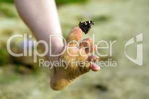 Walking with butterfly