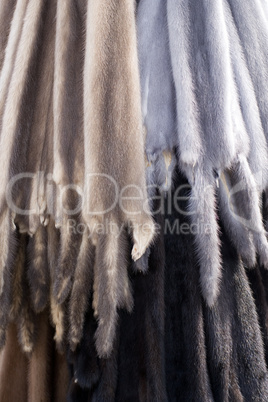 Animal furskin