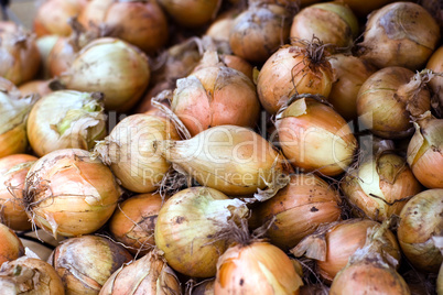 Pile of Onions