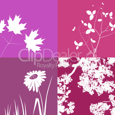 Pink Floral Background Graphics