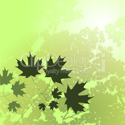 Summer Floral Background Green