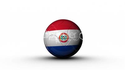 world cup PARAGUAY