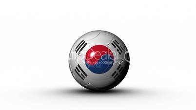 world cup SOUTH KOREA