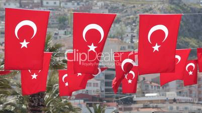 Turkish Flag bunting