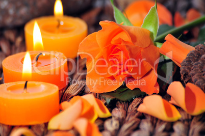 Rose und Kerzen