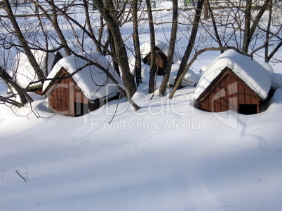 Snowed houses