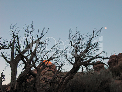 Arches National Park, Utah