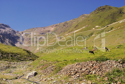 Stilfser Joch - Stelvio Pass 12